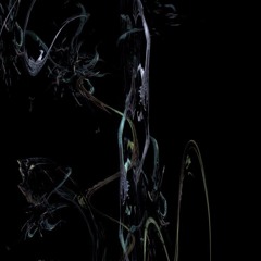 xyr xce - edm