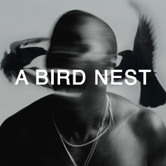 A BIRD NEST - SET #1 - TECHHOUSE