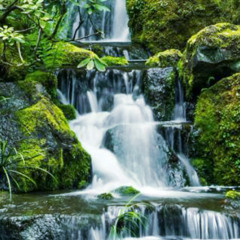 SHARP COLD-WATER🚿- BY MY SICK SUNDAY