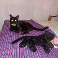 Siuticos Corazones [Demo]