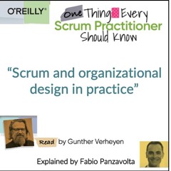 Gunther Verheyen and Fabio Panzavolta share a case of Scrum and organizational design in practice