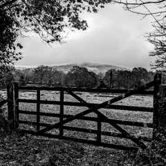 Leaning on our gate