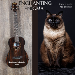Enchanting Enigma