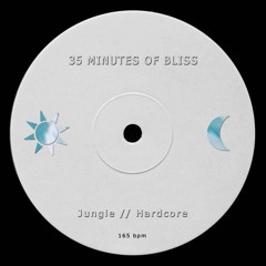 35 MINUTES OF BLISS [Jungle/Hardcore]