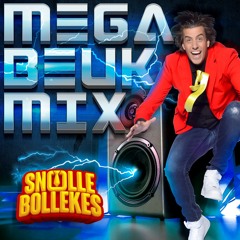 Mega Beukmix