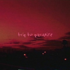 Trip To Paradise
