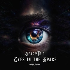 Space Trip - Eyes In The Space (Original Mix)