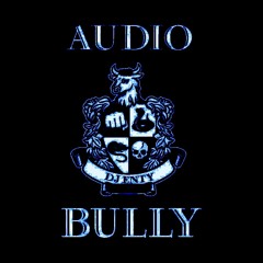 Audiobully 005