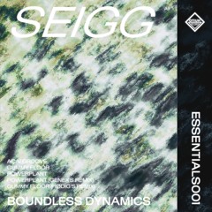 Premiere: Seigg - Gummy Floor (Rødig Remix) [ESSENTIALS001]