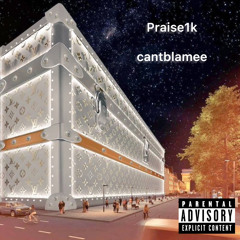 persxn ft Praise1k (prod manytails x cantblamee)