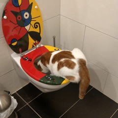 Pool, Brettspiele, Mimimi