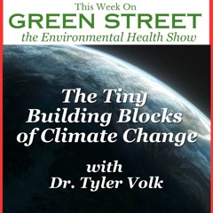 The Tiny Blocks of Climate Change with Dr. Tyler Volk