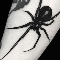 TATUAGEM DA ARANHA - MC XENOM - DJ DANLIVE E GEMEOSDAPUTARIA