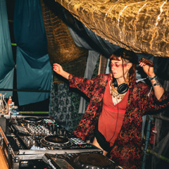 forbidden forest NYE 2024/25