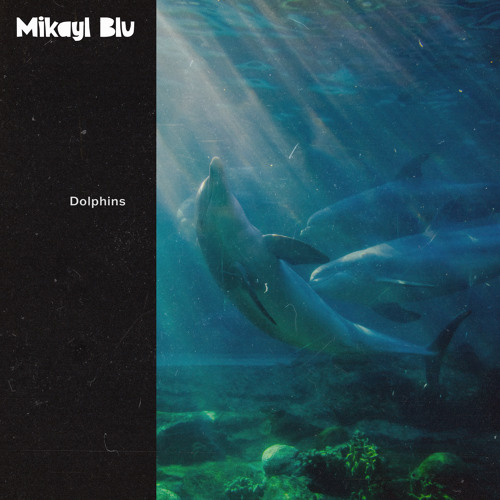 Dolphins