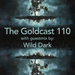 The Goldcast 110 (Jan 31, 2025) with guestmix by Wild Dark