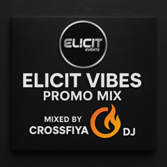 Elicit Vibes Promo Mix