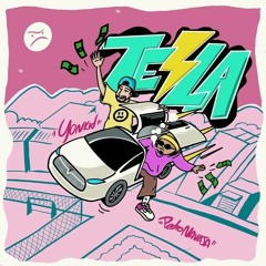 TESLA FT YONKID