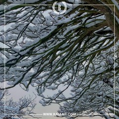 Biorhythms w/ Cat - December 2022