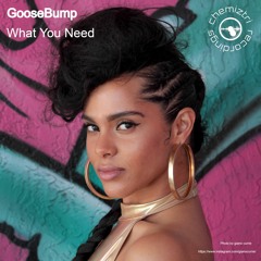 GooseBump - What You Need
