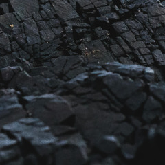 Coal Cover