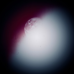 Spin