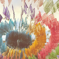 Jimbo James at Tierra De Los Muertos, Oaxaca, Mexico [2025-10-24] [MI4L.com]