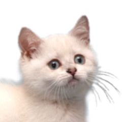 Michael Jackson - Throwing Your Life Away (Neff U Mix) [2010 Remix]