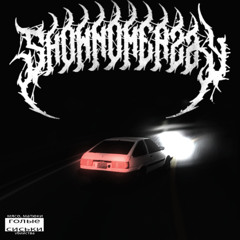shownomerzZy - gun done