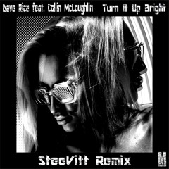 Dave Rice feat. Collin McLoughlin - Turn It Up Bright SteeVitt Remix.