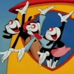 Animaniacs (Vocal Cover)