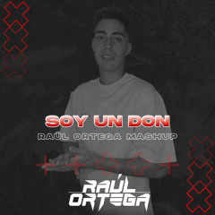 Soy Un Don - Raúl Ortega Mashup