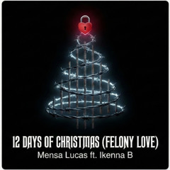 12 Days of Christmas (Felony Love)