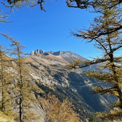 CRACK YOUR TRACK 2.2