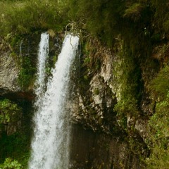 Biorhythms w/ Cat Byrne - April 2022