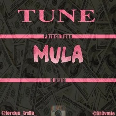 TUNE~MULA-Fight Night