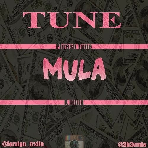 TUNE~MULA-Between The Sheets