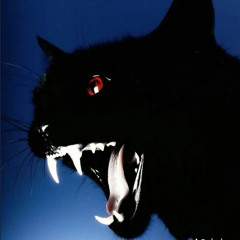 Look up at night prod [kalamitynova x voilentnight]