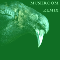 WHITE WINE & ADDERALL (Mushroom Remix)
