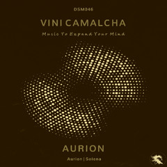 DSM046 | Vini Camalcha - Solena (Original Mix)