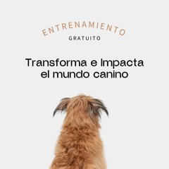 Audio Bienvenida Transforma e Impacta el Mundo Canino