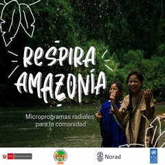 1. Uso De Mascarillas - Achuar