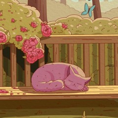 Sleepy - Cat