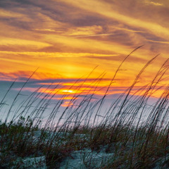 Summer 25 - Melodic House Mix