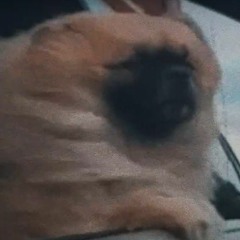 E.T. X RIZZO (Mik Mashup)