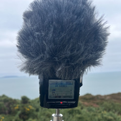 First Impression of Dublin