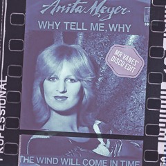 Anita Meyer - Why Tell Me Why (Mr. Vanes' Disco Edit)