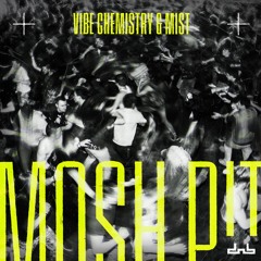 Vibe Chemistry & MIST - Mosh Pit