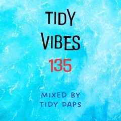 Tidy Vibes 135