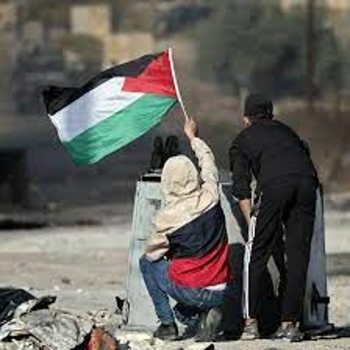 Dami Falasteeni My Blood Is Palestinian (Dami Falasteeni) Translation